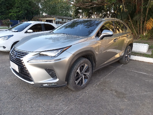  NX300H LUXURY 2018/2019