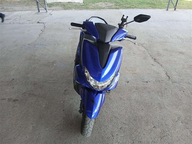 YAM FLUO 125 2023/2024
